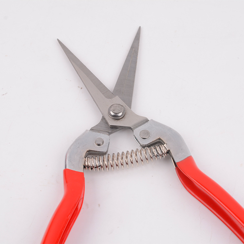 Fruit-picking shears, garden pruning shears, branch shears, garden greening flower branch shears, rebound and labor-saving shears are available for wholesale from the manufacturer details Picture