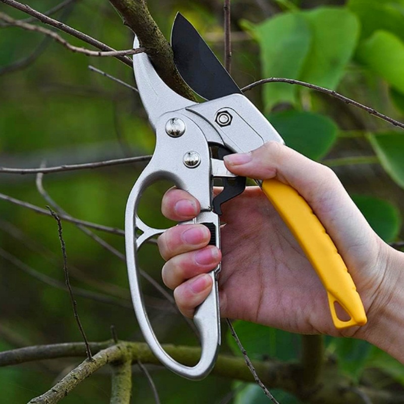 Cross-border pruning shears, segmented fruit branch shears, SK5 shears, garden pruning, thick branch pruning, labor-saving flower branch pruning Item Picture