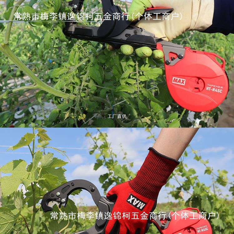 Japanese imported MAX Max branch binding machine for grapes, kiwifruit, tomatoes, eggplants and cucumbers with binding edges details Picture