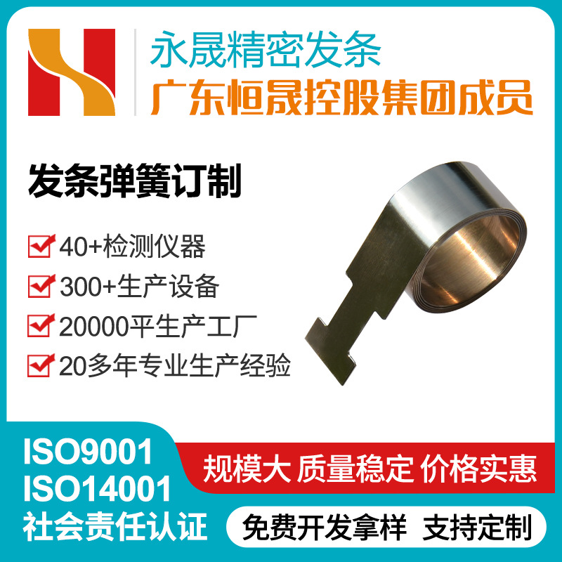 Fixed force spring, electric fan spring, stainless steel coil spring, wire winding spring, box vegetable cutter spring full figure