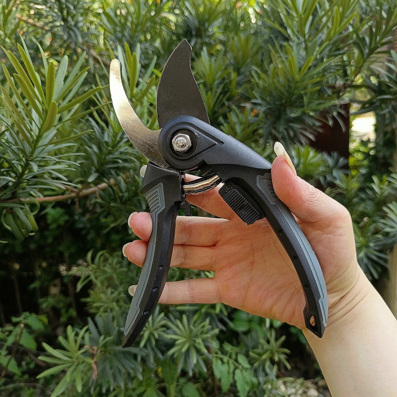 SK-5 alloy steel head garden potted plant pruning, flower pruning, fruit picking, branch pruning, garden tools Specification drawing