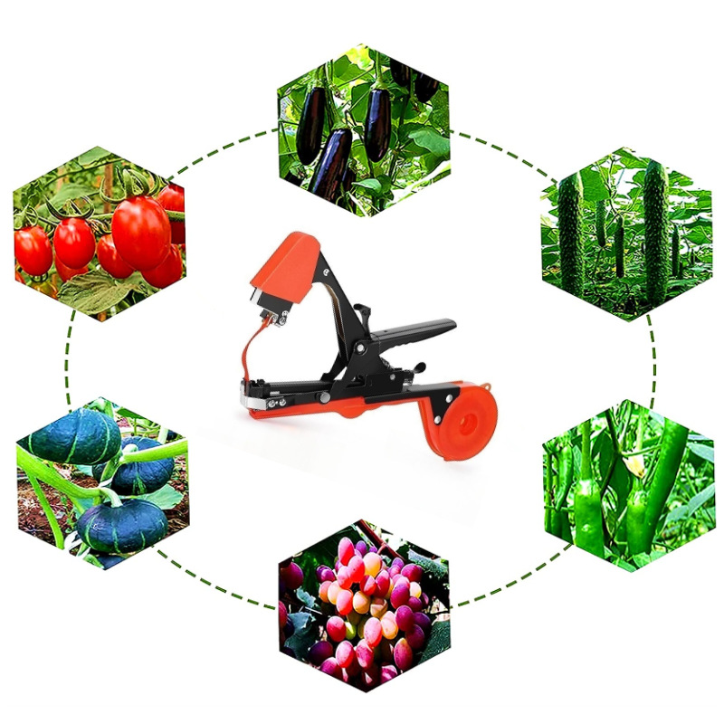 Branch binding machine for cucumbers, grapes, eggplants, loofahs, tomatoes, plant vines, portable branch binding tool for agricultural use Application Scenario