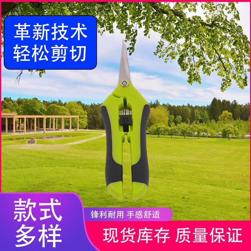 Factory direct sales of pruning shears, garden branches, garden tools, garden fruit tree pruning shears and leaf shears full figure