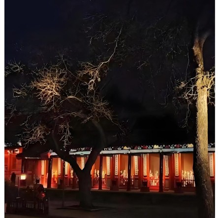 LED flexible light strips, decorative lights, outdoor ambient lights, outdoor silicone iridescent neon light strips, anti-glare 1616 full figure