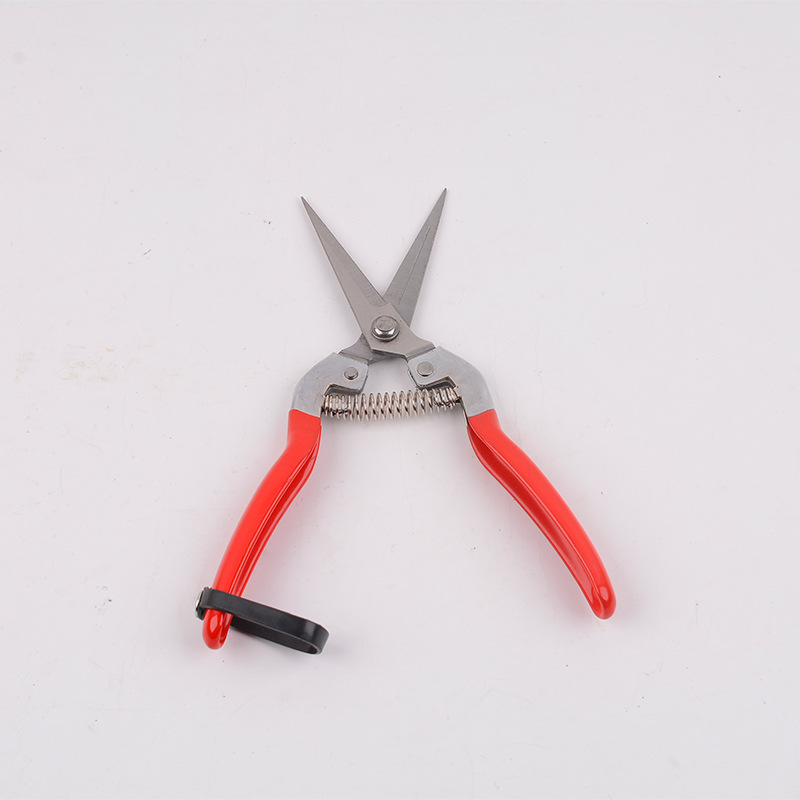 Fruit-picking shears, garden pruning shears, branch shears, garden greening flower branch shears, rebound and labor-saving shears are available for wholesale from the manufacturer Application Scenario