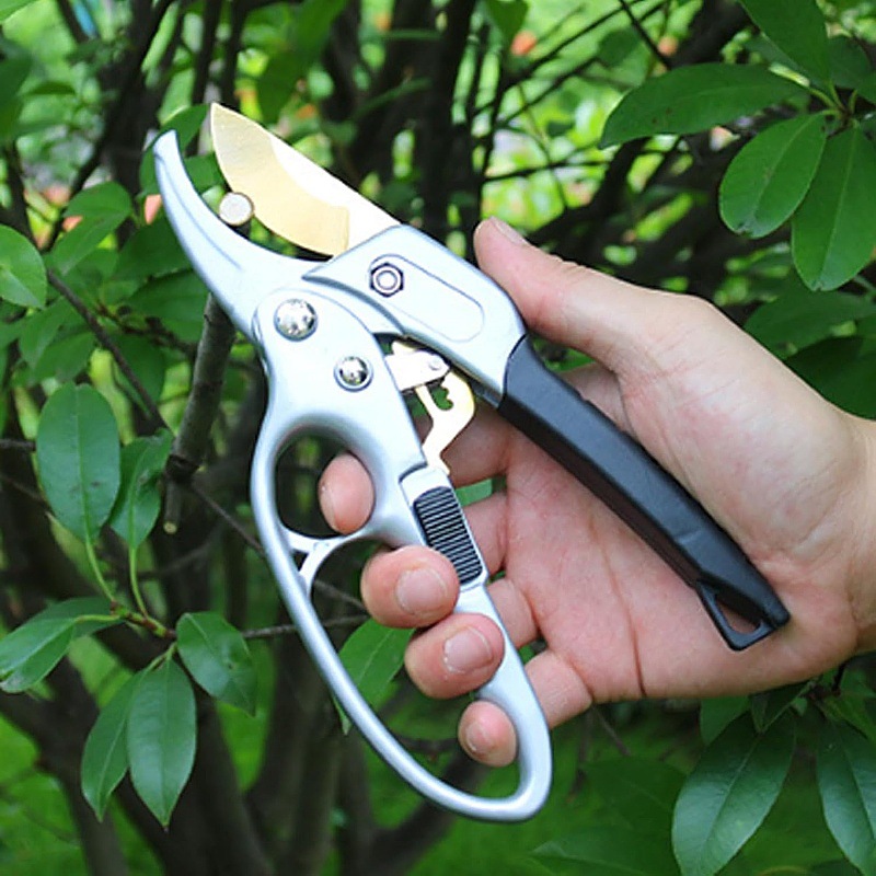 Cross-border best-selling segmented ratchet shears SK5 titanium scissors, garden shears, gardening shears, pruning shears, garden tools Specification drawing