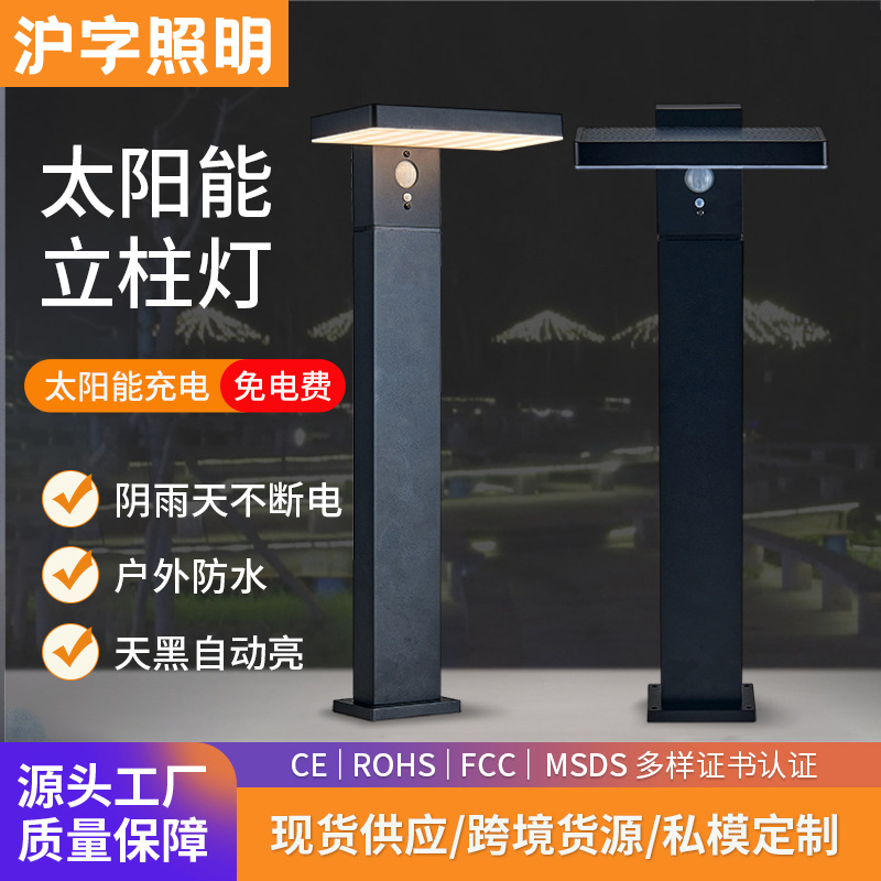 Simple outdoor led lawn lights, park, courtyard, community, villa street lights, garden landscape, ground insert grass lights, cross-border full figure