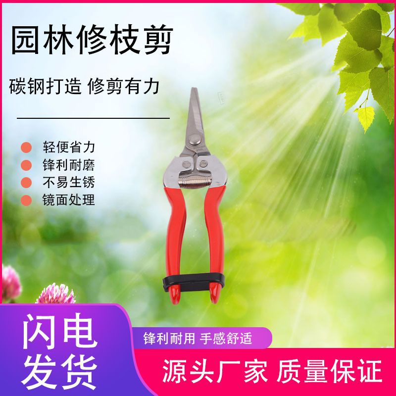 Wholesale of fruit tree and horticultural pruning, flower pruning, vegetable and fruit pruning, fruit picking scissors, citrus pruning and picking tools full figure
