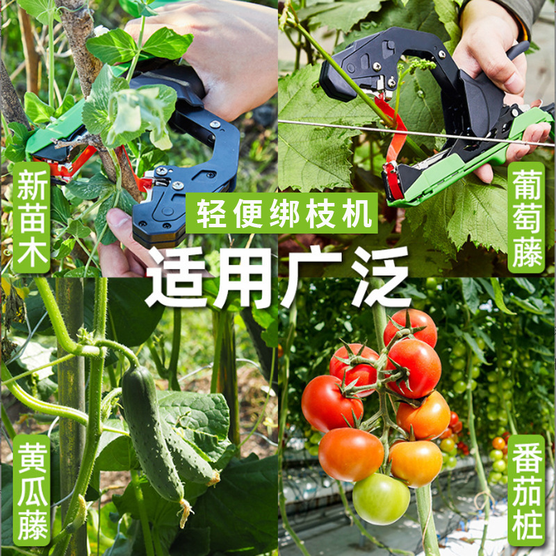 New type of branch binding machine, grape vine binding machine, tomato vine binding machine, branch binding magic tool, cucumber branch binding machine, nail binding strap binding machine Specification drawing