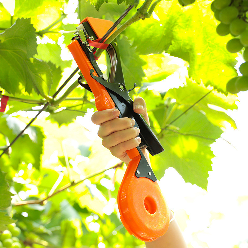 Branch binding machine, agricultural tomato vine binding machine, branch binding, grape binding, cucumber binding tape, nail binding branch binding, vine binding machine Application Scenario