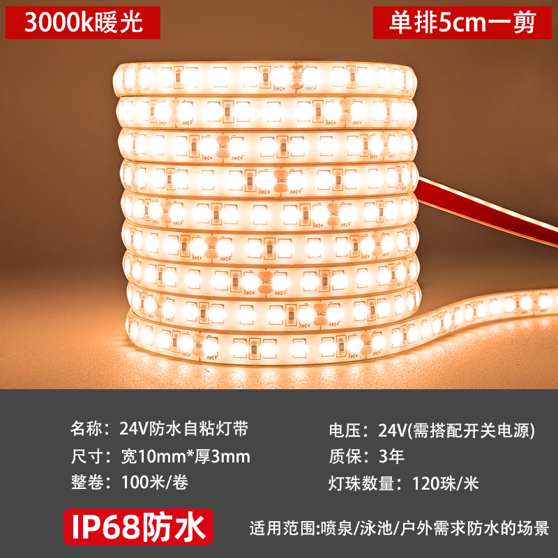 led waterproof light strip, solid silicone 24V low-voltage outdoor lighting landscape water pool, fish tank, home decoration project light strip details Picture