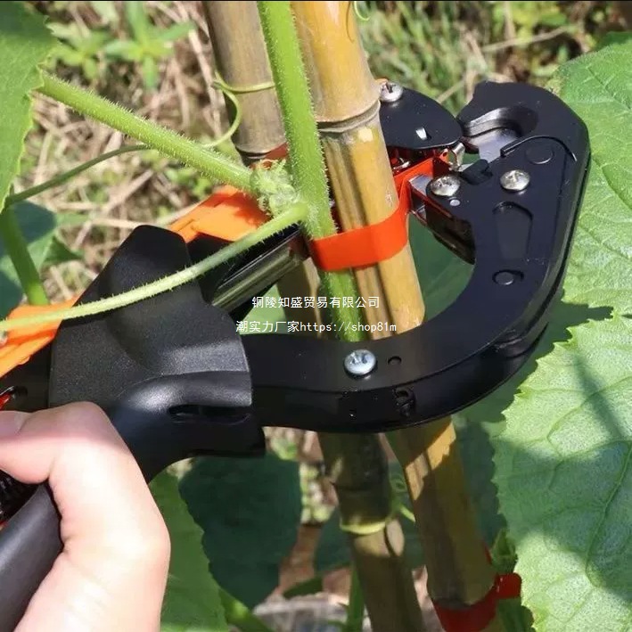 New type of tomato branch binding machine, grape tomato branch binding machine, kiwi vine binding tape machine, automatic binding machine tape Item Picture