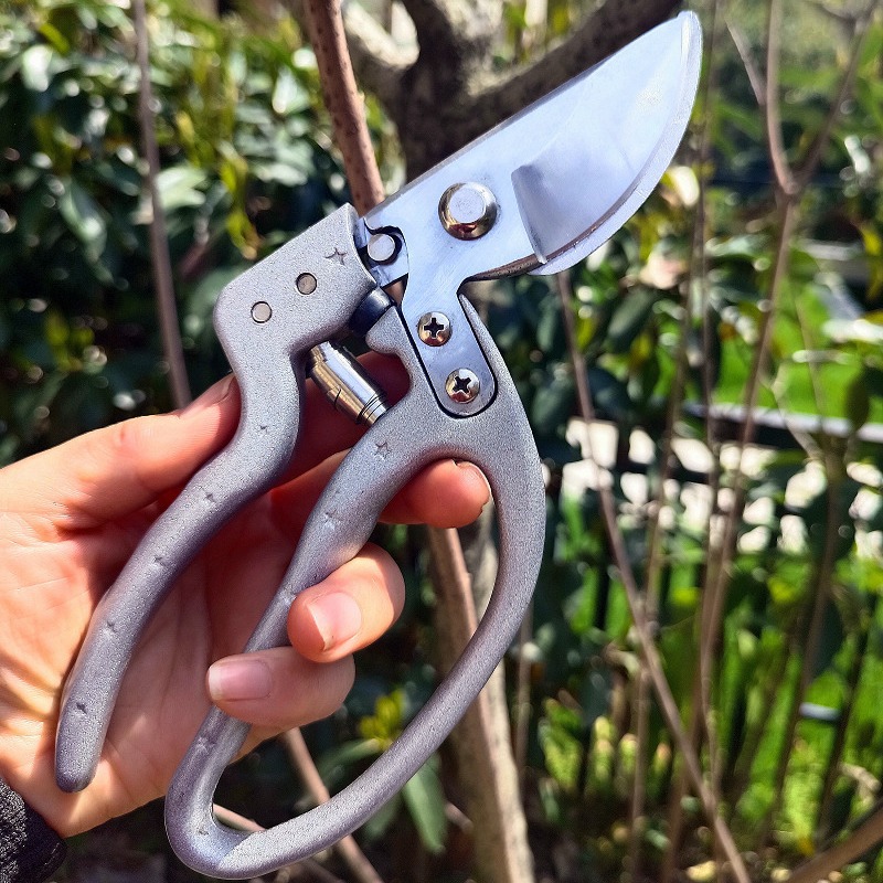 SK5 steel pruning shears, hand protection garden shears, bird's beak branch shears, potted plant picking, orchard forest pruning, garden hardware tools details Picture
