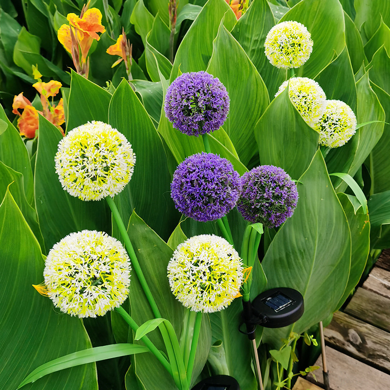 Cross-border outdoor solar flower lanterns, dandelion lamps, 3LED scallion balls, courtyard simulation flower beds, lawn insertion lights, landscape flowers Application Scenario