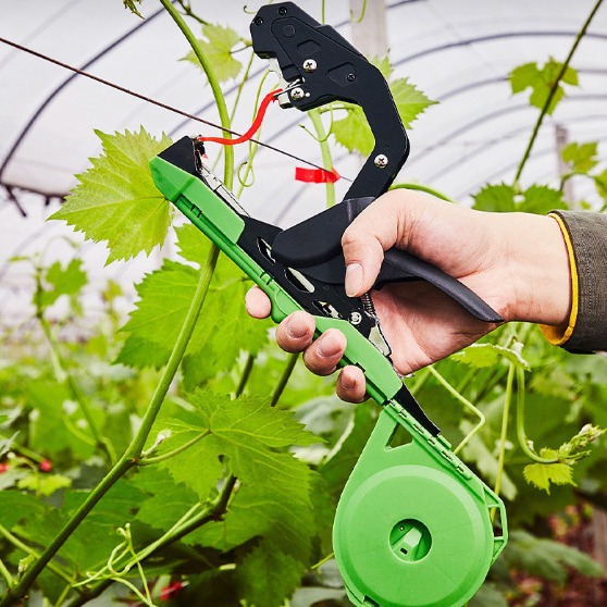 The new agricultural tomato branch binding machine and vine binding device are multi-functional for binding grape and cucumber vines full figure