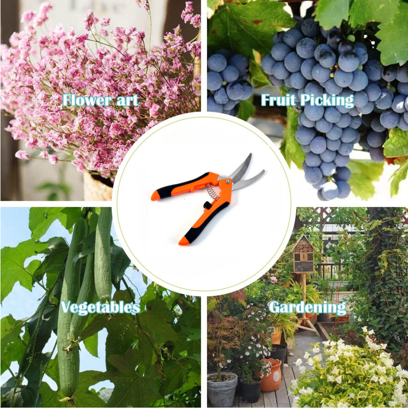 Cross-border horticultural pruning shears, potted plant nursery flower pruning, fruit and vegetable picking shears, fruit picking shears, thinning fruit shears, garden tools Item Picture