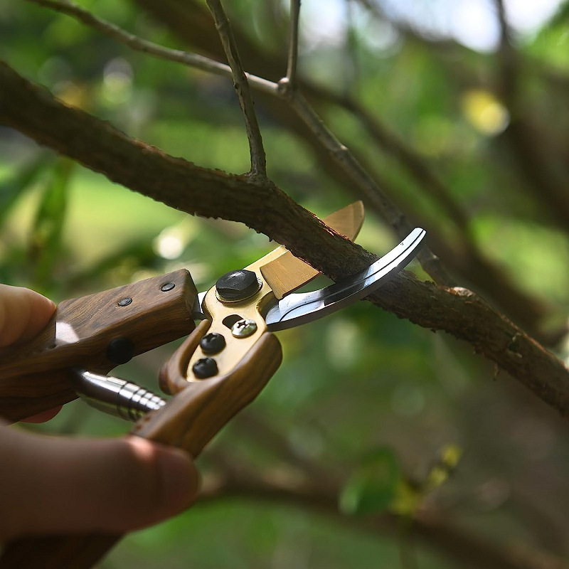 Cross-border SK5 wood grain handle pruning machine, branch pruning, flower branch pruning, garden scissors, fruit picking, potted plant seedlings details Picture