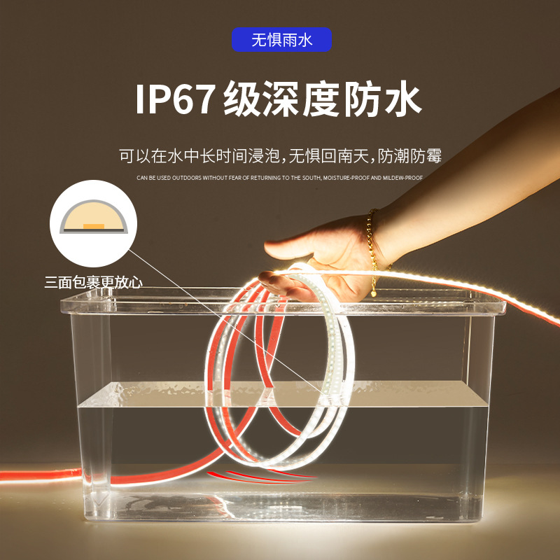 Low-voltage waterproof light strip, 24V outdoor, IP68, submerged in water, white and blue light without flicker, LED, special light strip for fish pond bottom Specification drawing