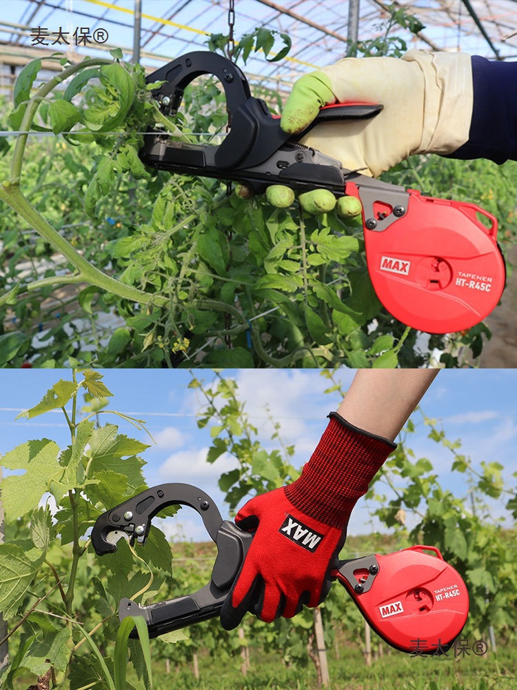Japanese imported MAX Max grape, kiwi, tomato, eggplant, cucumber, branch binding machine, vine binding machine, Maitaibao details Picture