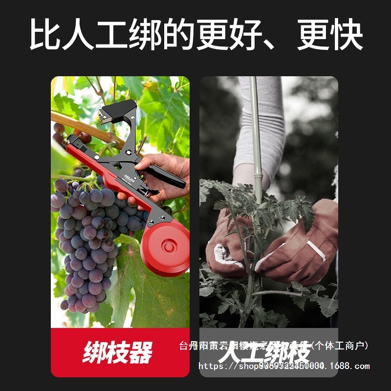 New type of grape branch binding machine, automatic agricultural belt binding machine for cucumbers and tomatoes, wholesale of vine bundles. For inquiries, please contact customer service Item Picture