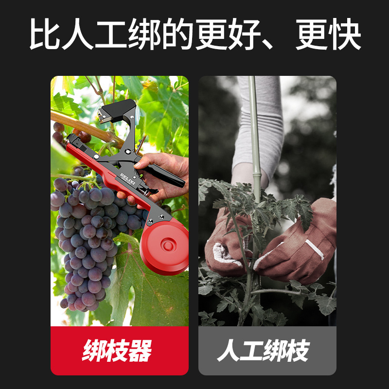Delixi branch binding machine, multi-functional automatic binding machine for grape vine and cucumber vine, and greenhouse vegetable vine binding machine Application Scenario