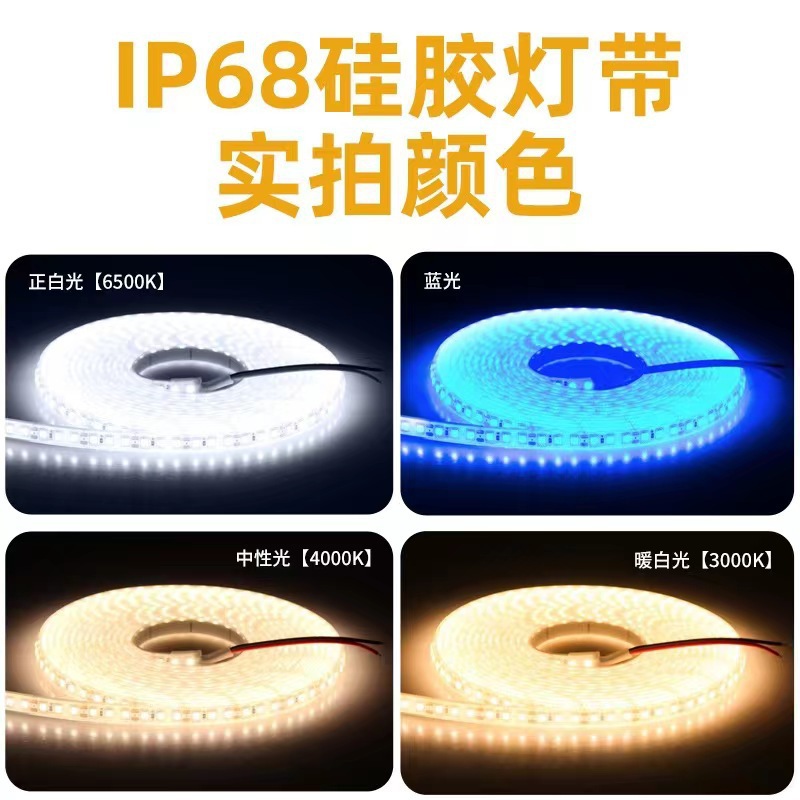24V120 beads IP68 outdoor swimming pool fish tank 2835LED solid silicone extruded light strip retail waterproof Application Scenario