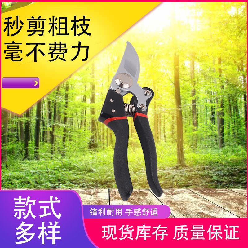 We have a wide range of pruning shears in stock, including fruit branch shears, fruit tree branch pruning shears, flower branch and garden shears, and thick branch shears full figure