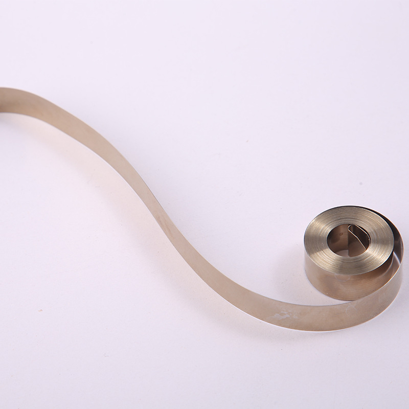 The manufacturer supplies dog leash inner spring, energy storage spring, automatic telescopic dog walking rope, and vortex spring wholesale Application Scenario