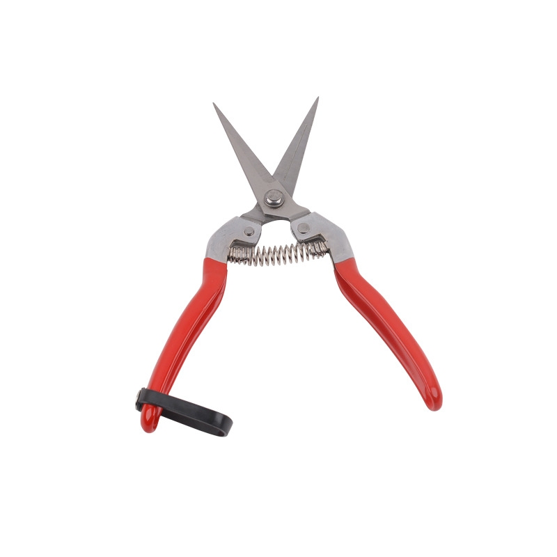 Fruit-picking shears, garden pruning shears, branch shears, garden greening flower branch shears, rebound and labor-saving shears are available for wholesale from the manufacturer Item Picture