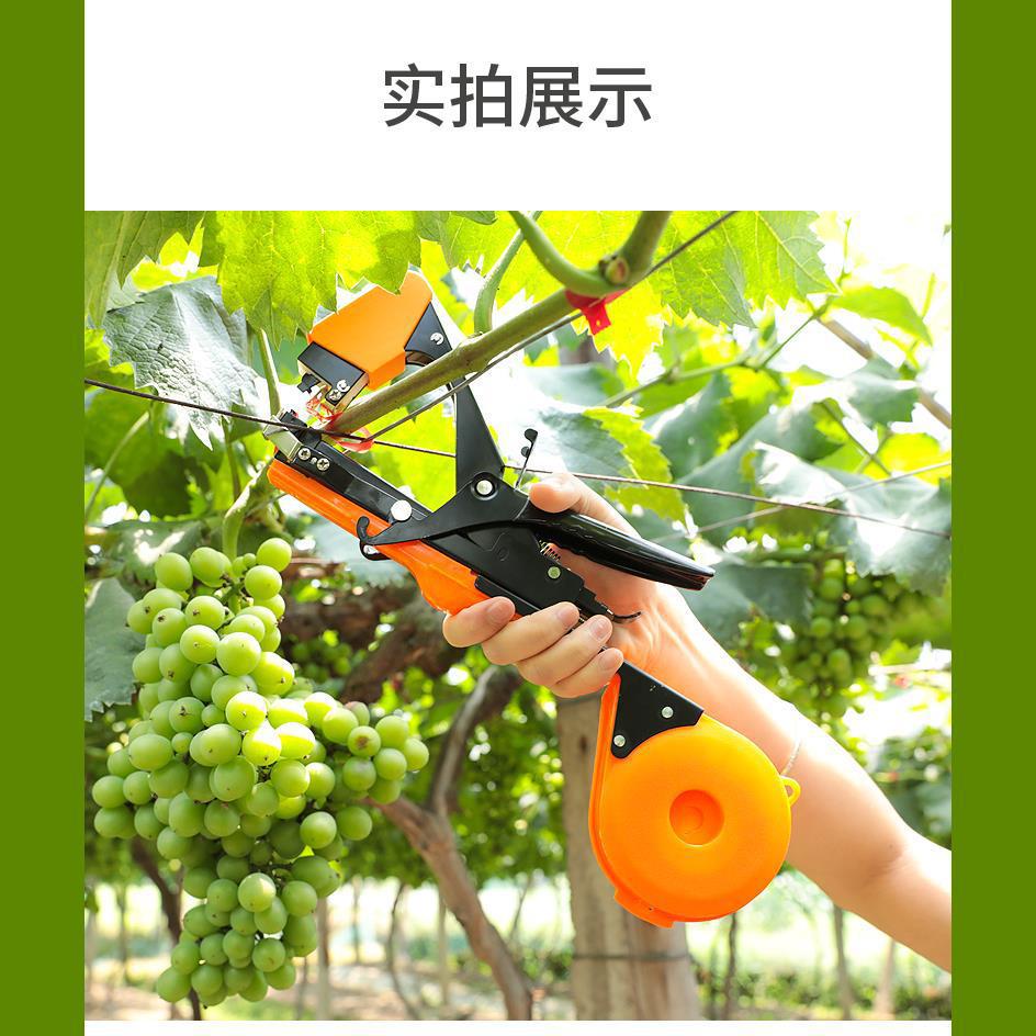 Branch binding machine, agricultural tomato vine binding machine, branch binding, grape binding, cucumber binding tape, nail binding branch binding, vine binding machine Item Picture