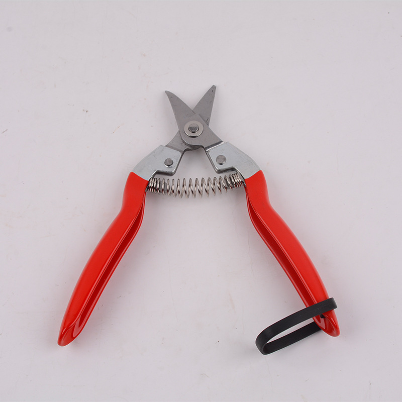 Pruning electric scissors, fruit picking magic tool, multi-functional garden fruit picking, flower art pruning scissors, branch picking electric details Picture
