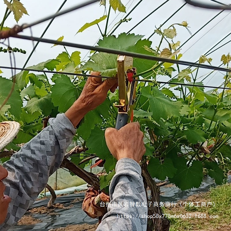 Tomato vine binding gun, cucumber vine binding magic tool, grape and passion fruit vine binding tool, new type of tomato vine binding tool Specification drawing