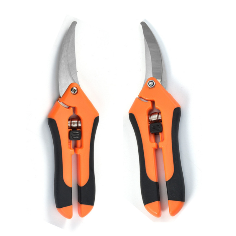 Cross-border horticultural pruning shears, potted plant nursery flower pruning, fruit and vegetable picking shears, fruit picking shears, thinning fruit shears, garden tools details Picture