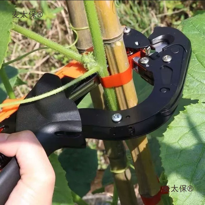 The new type of tomato branch binding machine, including the grape and tomato branch binding machine and the kiwi vine binding tape, automatically binds the wheat Taibao Item Picture
