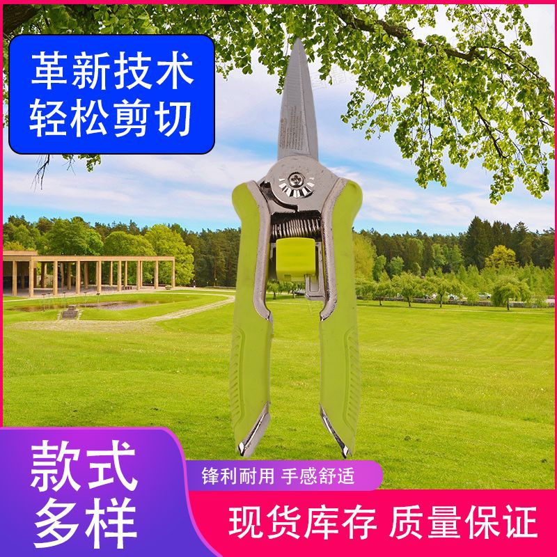 Stainless steel pruning shears, fruit and flower shears, garden fruit tree pruning and grafting scissors, direct sales from the manufacturer full figure