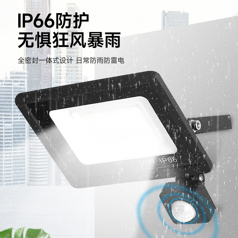Cross-border sensor floodlights 30W - 200W Outdoor human sensor community courtyard ultra-bright small apple led floodlights details Picture