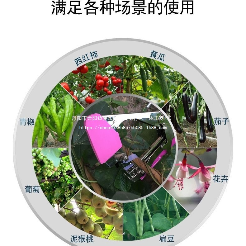 Grape branch binding machine, branch binding magic tool, tape, tomato and kiwi branch binding machine, vine binding machine, binding and tying machine details Picture