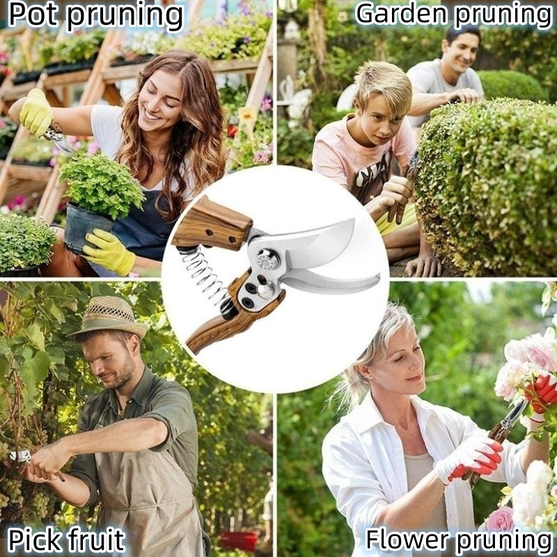 SK5 Pruning scissors: Garden potted plant branch pruning, fruit picking pruning, outdoor flower picking pruning, grape, lychee, loquat pruning, wood grain pruning details Picture