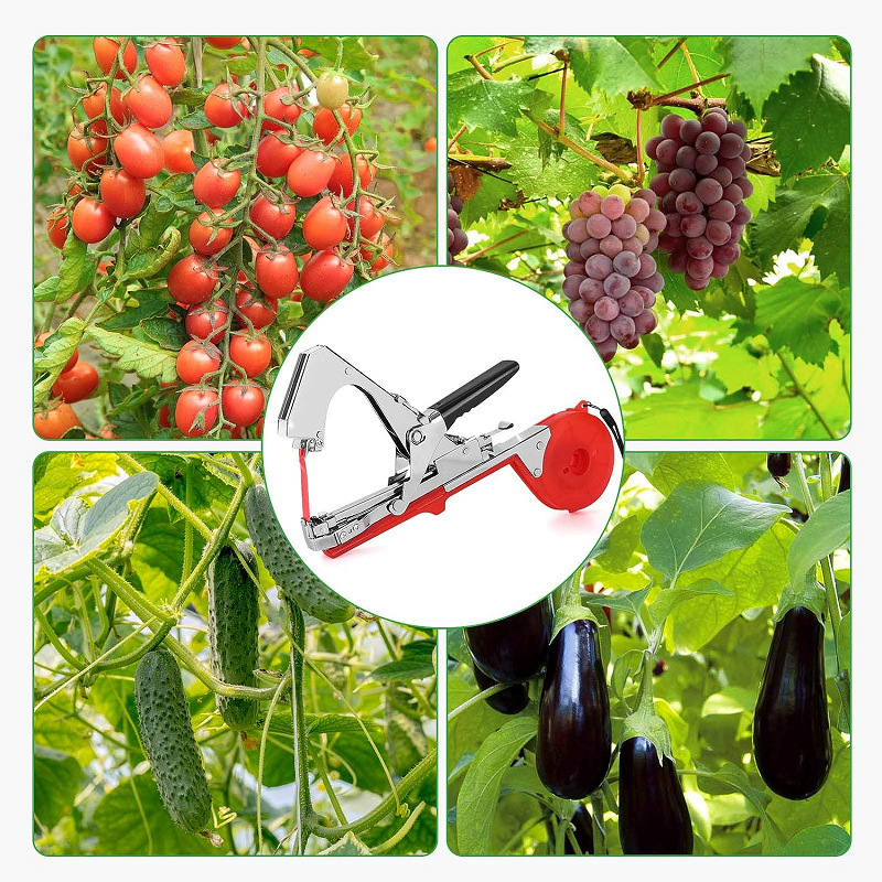 Wholesale plant binding machines, grape, tomato, cucumber and vine binding machines, tape machines in stock, agricultural tools Application Scenario