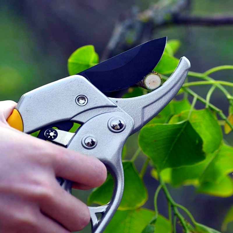 Cross-border multi-functional pruning shears, labor-saving shears, branch shears, convenient hand-protecting shears, garden tools, gardening tools Application Scenario