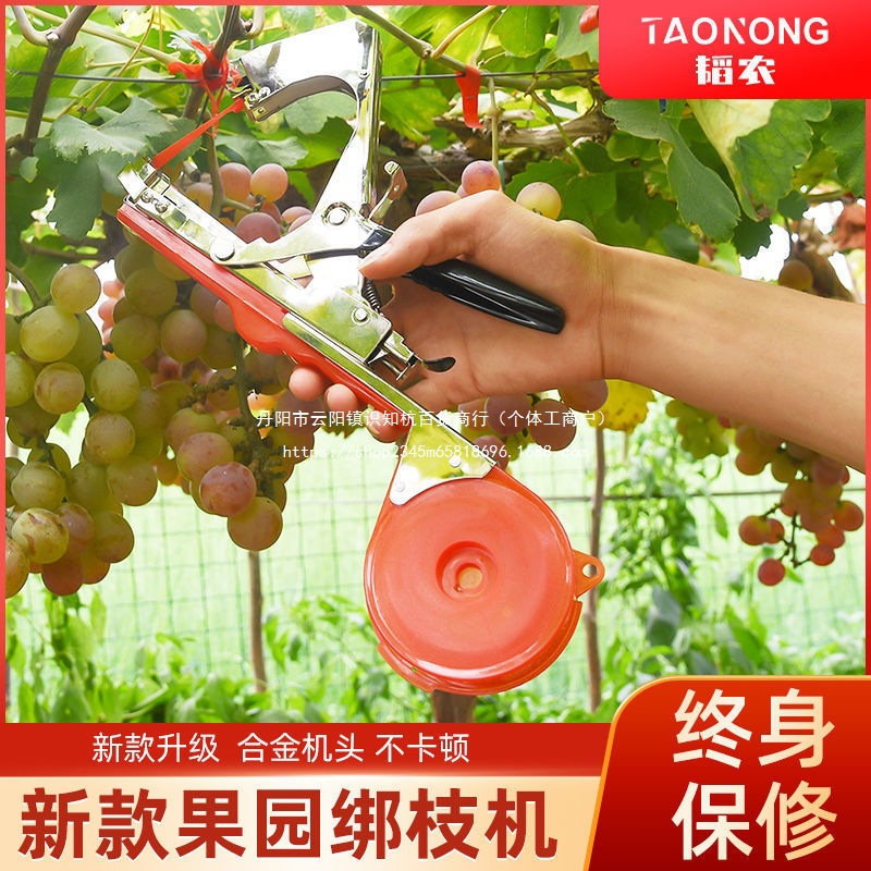 Grape branch binding machine, branch binding tool, vine binding machine, new type of branch binding machine, tomato yellow melon fruit, tomato fruit tree branch binding gun details Picture