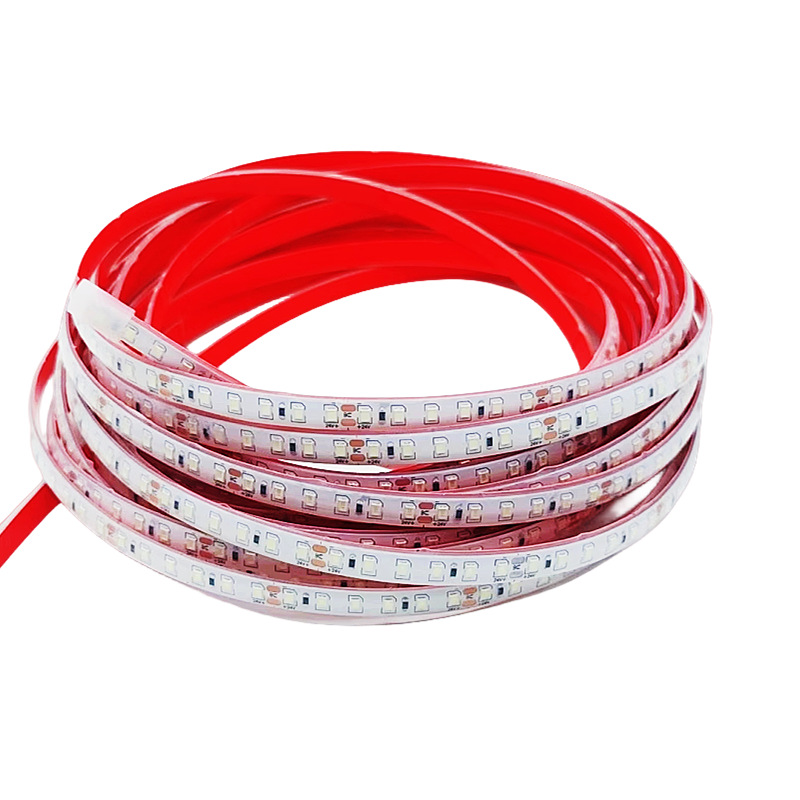 Low-voltage waterproof light strip, 24V outdoor, IP68, submerged in water, white and blue light without flicker, LED, special light strip for fish pond bottom Item Picture
