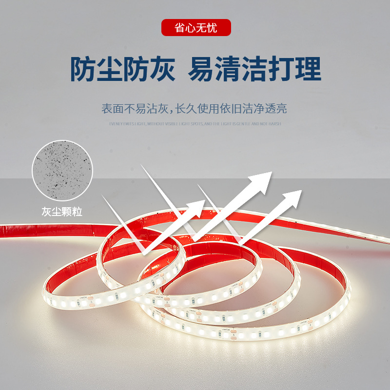 Low-voltage waterproof light strip, 24V outdoor, IP68, submerged in water, white and blue light without flicker, LED, special light strip for fish pond bottom Application Scenario