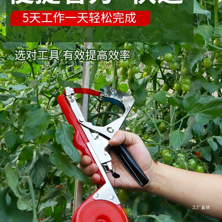 Upgrade the tomato branch binding machine for binding vines and vines, the grape and cucumber binding machine for binding tape and nails Application Scenario