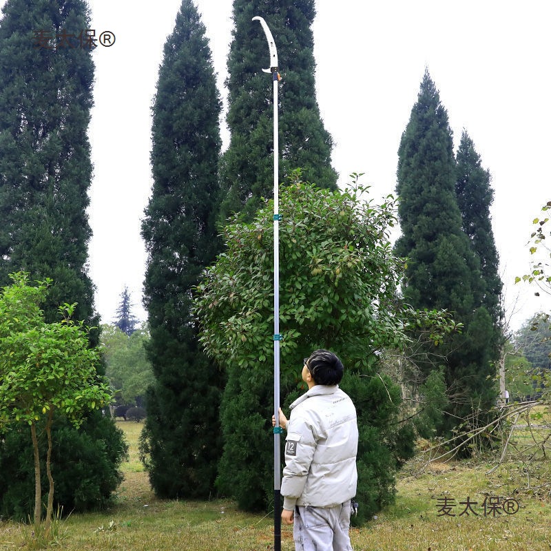 Japanese imported Tanjiang high-branch saws, pruning high-altitude saws, garden fruit saws, high-branch pruners, garden saws, tree wheat Taibao Specification drawing