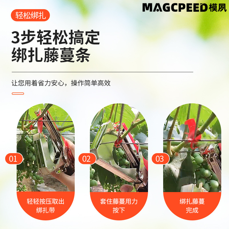 Manual binding machine for grapes, tomatoes, cucumbers, climbing vines and vines. Direct supply from the manufacturer Application Scenario