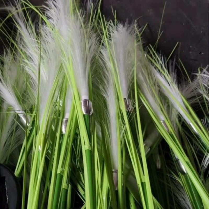 Solar fiber optic reed lamps, led simulation outdoor lawn and courtyard reed lamps, park ground insert decorative landscape lamps Application Scenario