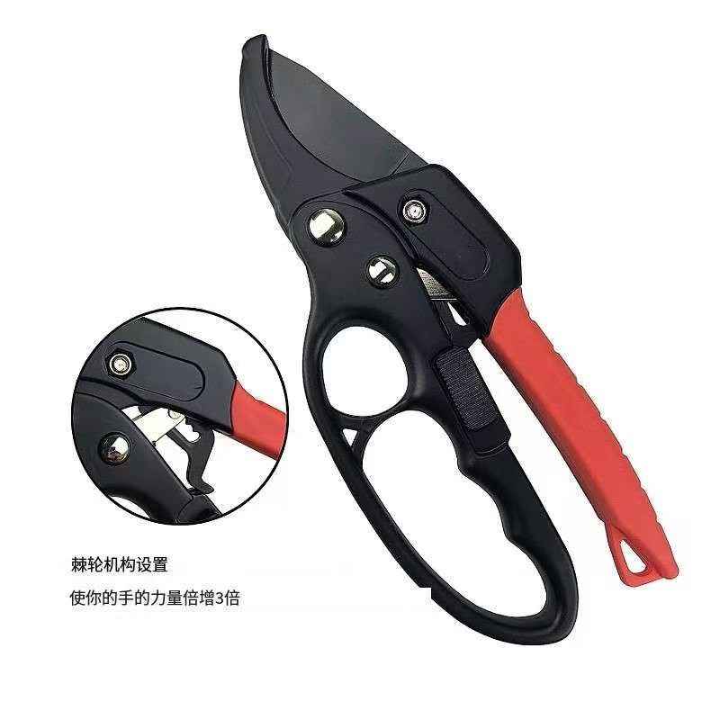 Cross-border best-selling professional ratchet segmented pruning shears sk5 branch pruning shears, flower shears, gardening, fruit tree and garden tools details Picture
