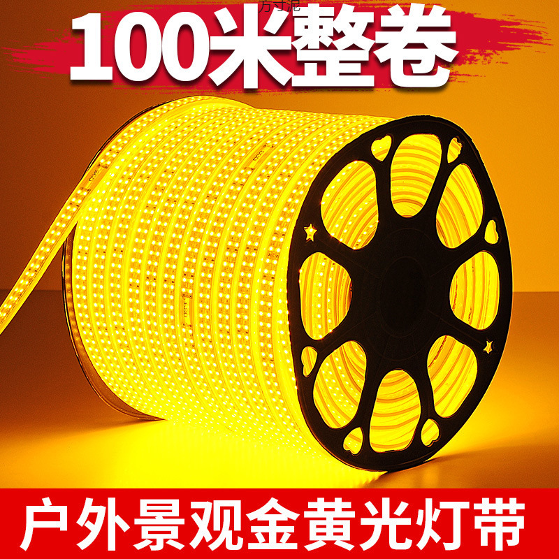 100-meter golden led light strip for engineering lighting, landscape lighting, outdoor 220V, outdoor decoration wholesale full figure