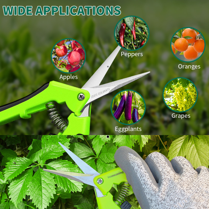 Cross-border best-selling small pruning shears, flower branch pruning shears, branch pruning shears, fruit picking shears, potted plant pruning shears, gardening shears and garden tools details Picture